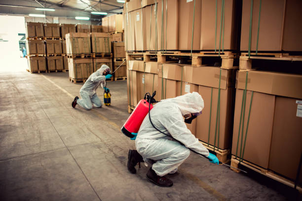 Best Affordable Exterminators  in Centerville, UT