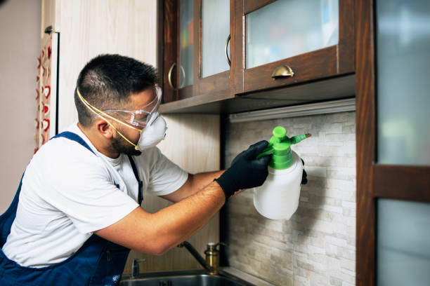 Best Pest Removal Services  in Centerville, UT