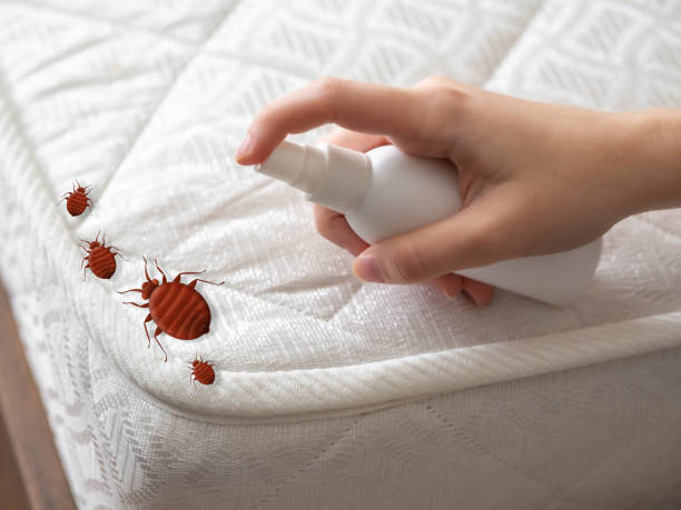 Best Local Pest Control Services  in Centerville, UT