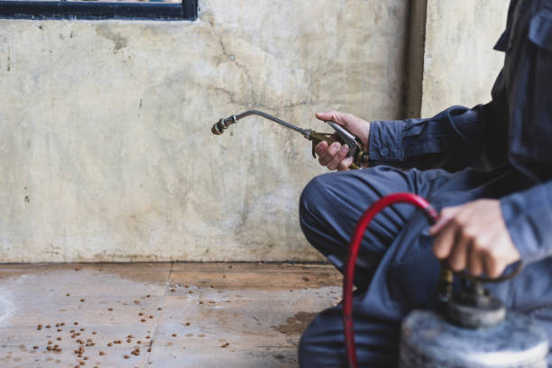 Best Exterminator Services  in Centerville, UT